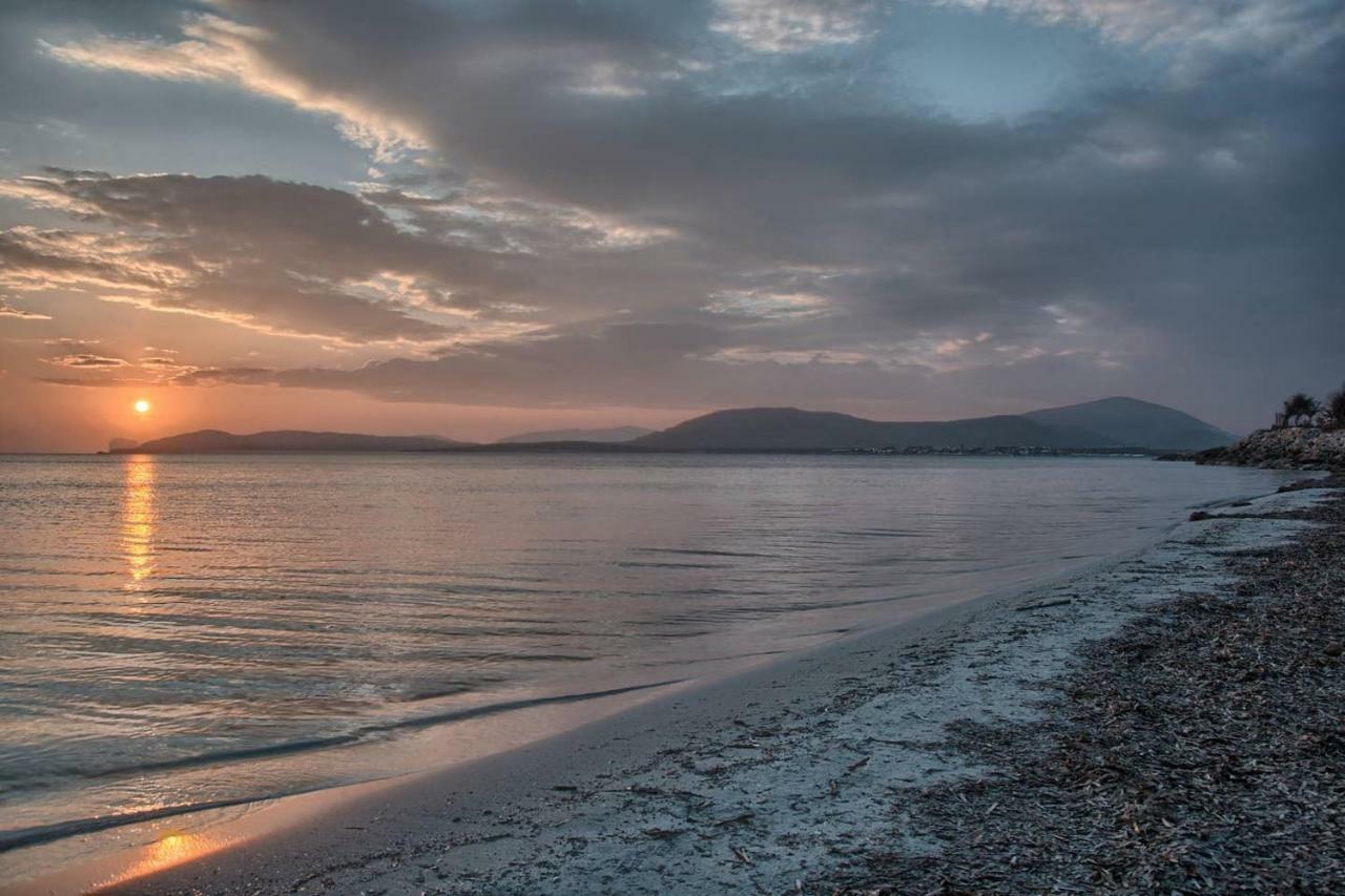Zona Residenziale, Appartamento Incantevole Vista Mare Via Antonio Gramsci, 18, 07041 Alghero Ss Kültér fotó